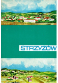 Studia nad dziejami Strzyżowa i okolic