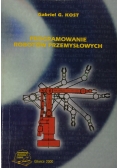 Programowanie robotów przemysłowych