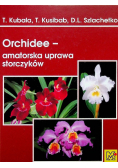 Orchidee Amatorska uprawa storczyków