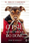 O psie który wrócił do domu