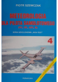 Meteorologia dla pilota samolotowego