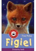 Figiel zraniony lisek