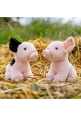 Pluszowa świnka