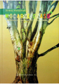 Mocarze czasu