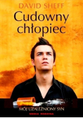 Cudowny chłopiec Mój uzależniony syn