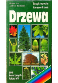 Drzewa encyklopedia