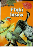 Ptaki lasów