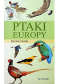 Ptaki Europy przewodnik