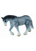 Klacz rasy Clydesdale