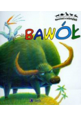 Bawół