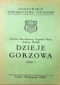 Dzieje Gorzowa Tom I