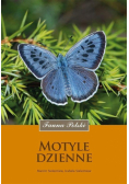 Motyle dzienne wyd. 2024
