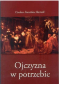 Ojczyzna w potrzebie