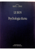 Psychologia tłumu