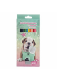 Kredki akwarelowe Studio Pets 12 sztuk + temperówka