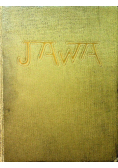 Jawa przyroda i sztuka Uwagi z podróży ok 1913 r.