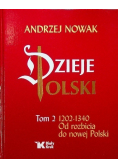 Dzieje Polski Od rozbicia do nowej Polski Tom 2