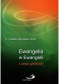 Ewangelia w Ewangelii i moja spowiedź