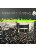 Korzenie drzewa