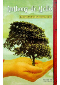 Przebudzenie