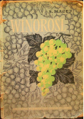 Winorośl
