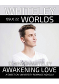 Issue 22