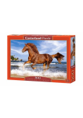 Puzzle 500 Horse on the Beach