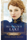 Irlandzkie Łąki Mieć odwagę, by marzyć Tom 1