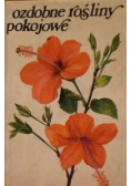 Ozdobne rośliny pokojowe