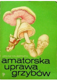 Amatorska uprawa grzybów