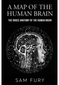 A Map of the Human Brain