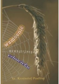 Wzmocnić wewnętrznego człowieka