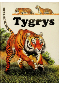 Tygrys