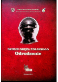 Dzieje oręża polskiego Odrodzenie