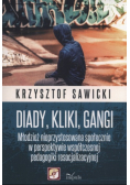 Diady kliki gangi Młodzież nieprzystosowana społecznie w perspektywie współczesnej pedagogiki resocjalizacyjnej