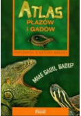 Atlas płazów i gadów