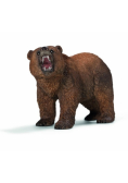 Niedźwiedź Grizzly