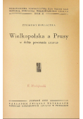 Wielkopolska a Prusy w dobie powstania  1918 / 19 Tom II 1932 r.