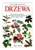 Drzewa