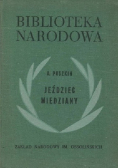 Jeździec miedziany