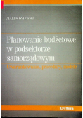 Planowanie budżetowe w podsektorze samorządowym