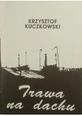 Trawa na dachu