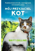 Mój przyjaciel kot