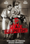 Ptaki drapieżne