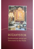 Między niebem a ziemią Różanystok sanktuarium wśród pól