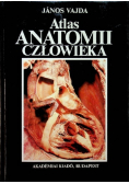 Atlas Anatomii Człowieka Tom II