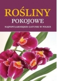 Rośliny pokojowe