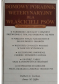 Domowy poradnik weterynaryjny dla właścicieli psów