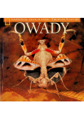 Owady