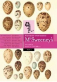 McSweeneys Najlepsze opowiadania Tom 2